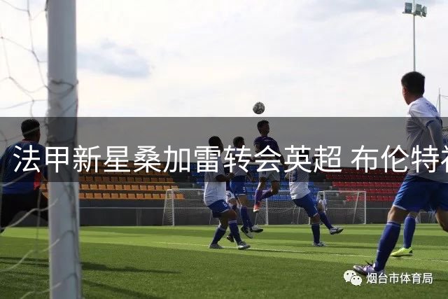 法甲新星桑加雷转会英超 布伦特福德锁定亨德森替代者